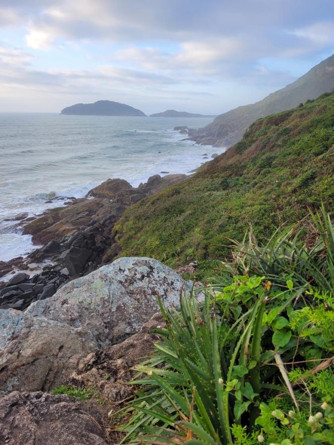 Apartamento Entre A Montanha E Do Mar Apartment Florianopolis Ngoại thất bức ảnh